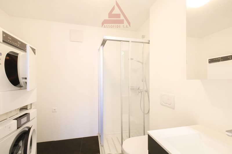 App. con stupenda vista lago / Wohnung mit traumhafter Seesicht (9)