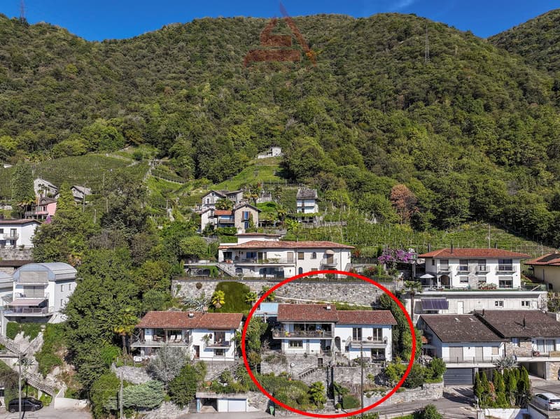 Splendida villa bifamiliare a Gordola / Wunderschöne Doppelhaushälfte in Gordola (12)