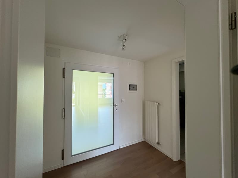 empty hallway, white walls, hardwood floor, glass door, light fixtures, white radiator, white switch