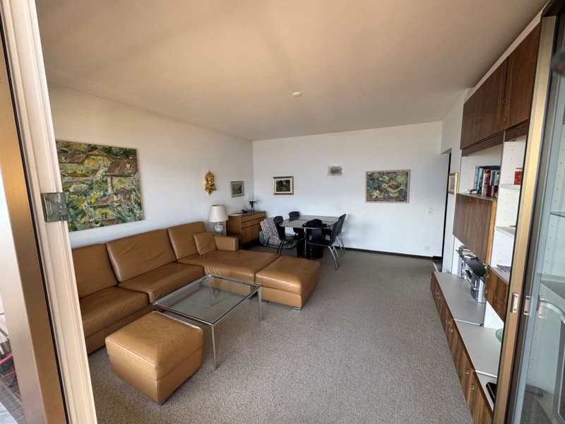 Leather sofa, center table, dining table with chairs, carpeted floor, wall art, lamp, cabinets