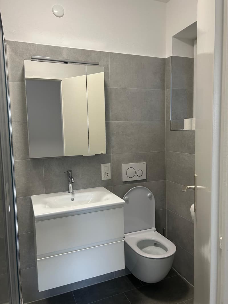 1.5 room apartment in Minusio (4)