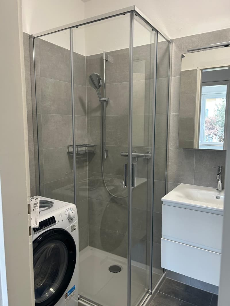 1.5 room apartment in Minusio (3)