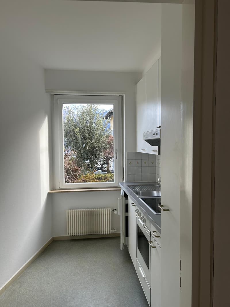 1.5 room apartment in Minusio (2)