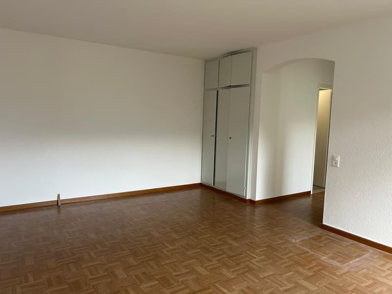 1.5 room apartment in Minusio (5)