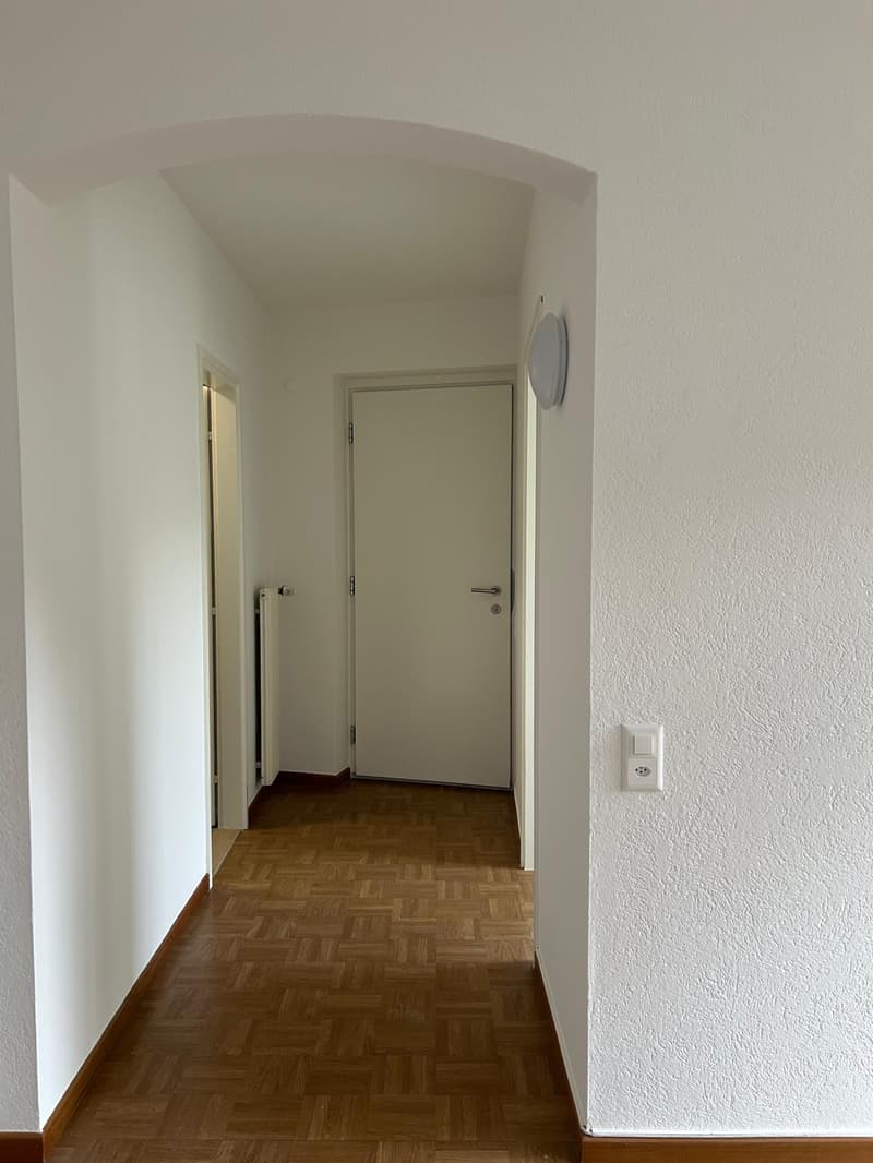 1.5 room apartment in Minusio (6)