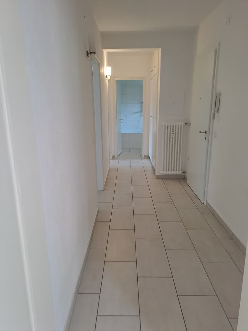 Appartamento 3.5 locali con balcone a Losone (5)