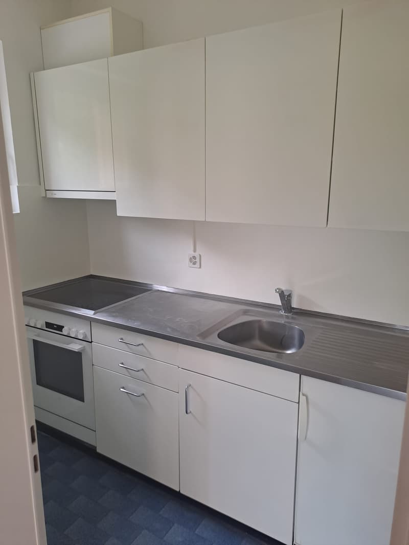 Apartment for rent with 2.5 rooms in Minusio (3)