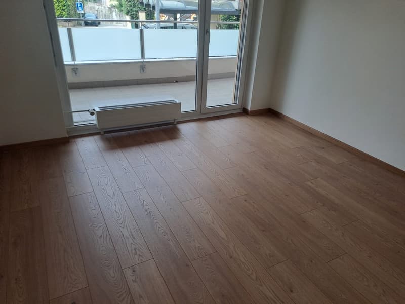 Apartment for rent with 2.5 rooms in Minusio (4)