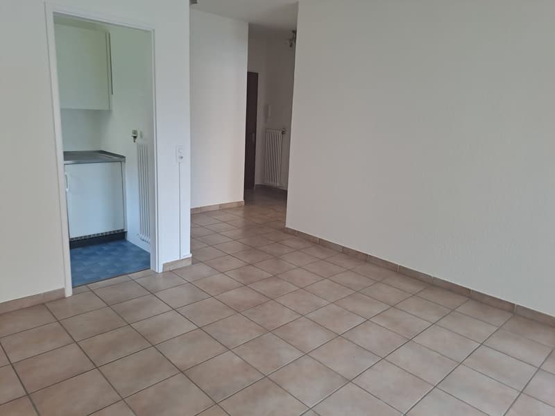 Apartment for rent with 2.5 rooms in Minusio (2)