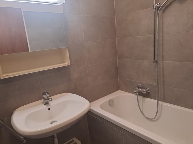 Apartment for rent with 2.5 rooms in Minusio (5)