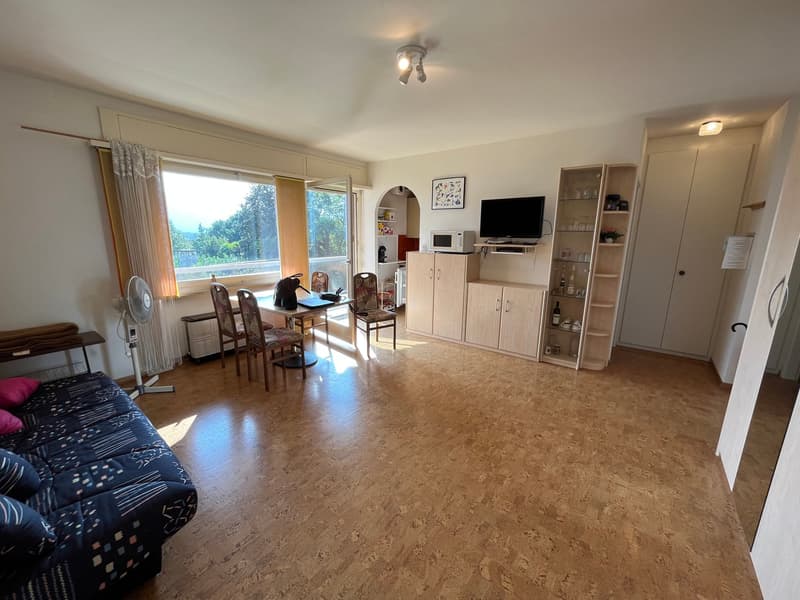 Schöne 1.5 Zimmer-Wohnung in sonniger, zentraler und ruhiger Lage (5)