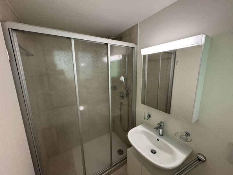 Schöne 2,5-Zimmer-Wohnung in Muralto, in der Nähe des SBB-Bahnhofs, zu verkaufen (6)