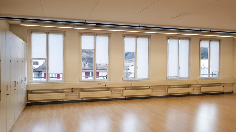 Propriété commerciale à Strengelbach (3)