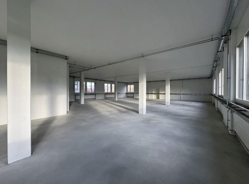 Your place for success: Flexible commercial spaces in Alpnach (2)