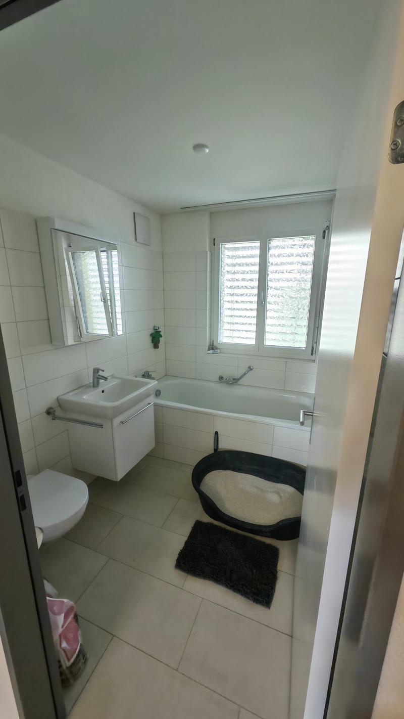 Appartement 3.5 pièces à Seengen (2)