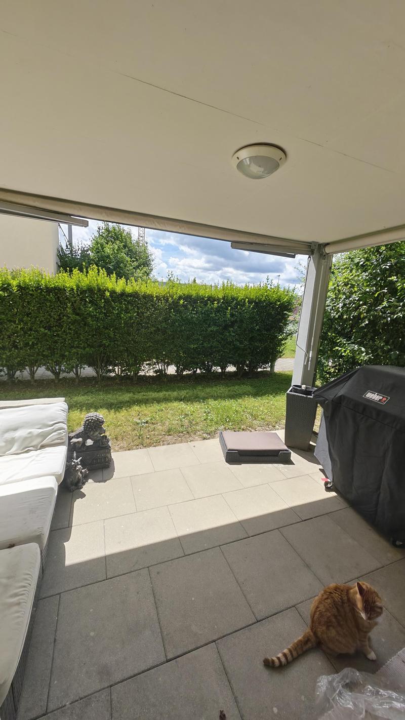 Appartement 3.5 pièces à Seengen (4)