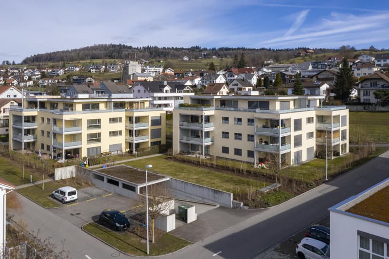 Appartement 3.5 pièces à Seengen (1)