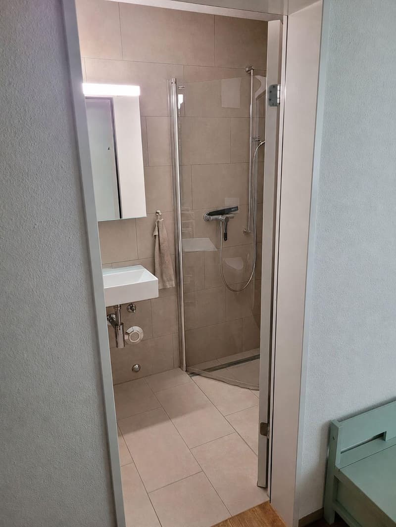 4.5 bedroom apartment in Lucerne (9)