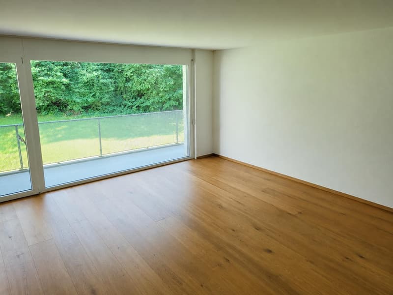 4.5 bedroom apartment in Lucerne (11)