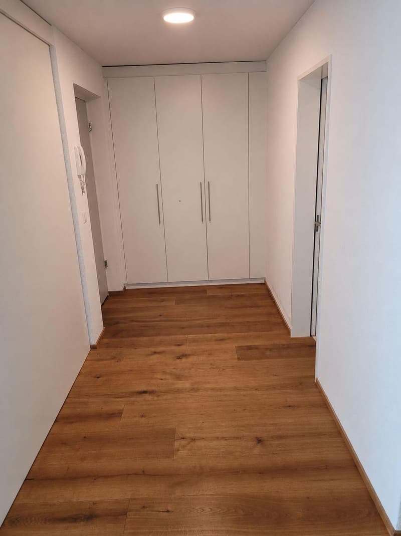 4.5 bedroom apartment in Lucerne (2)