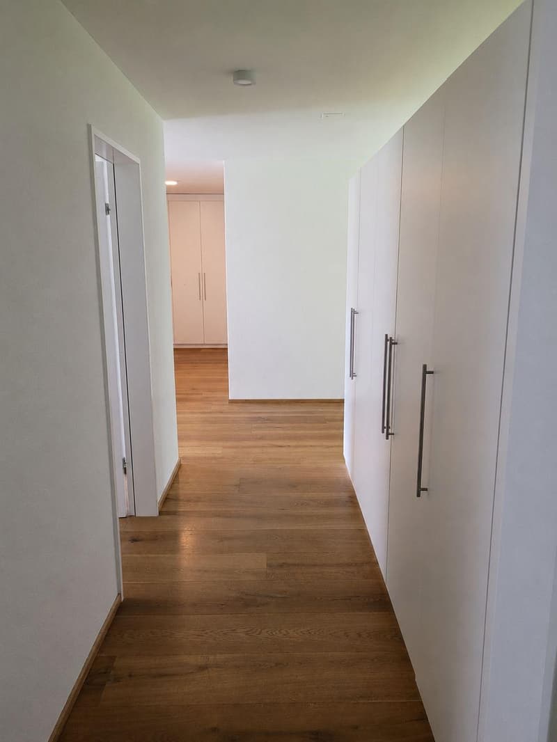 4.5 bedroom apartment in Lucerne (3)