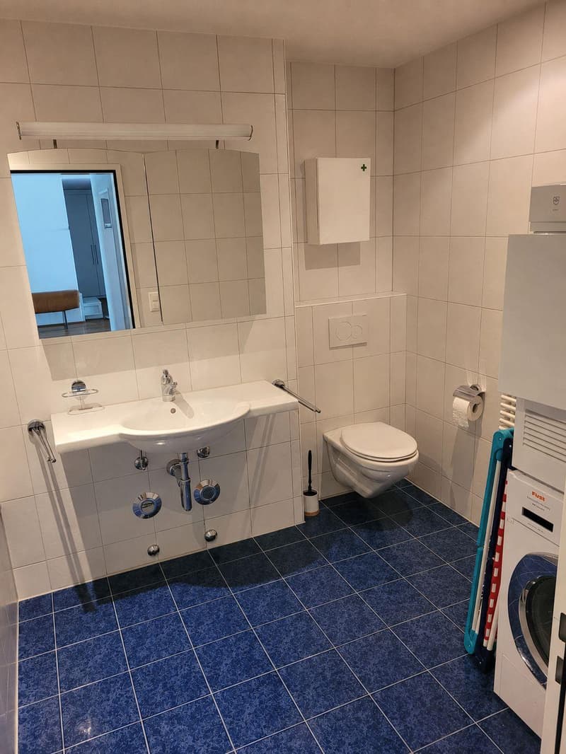 4.5 bedroom apartment in Lucerne (8)