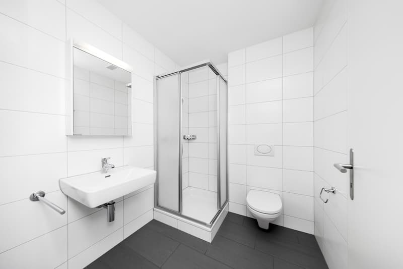 4.5 room apartment in Kriens (5)