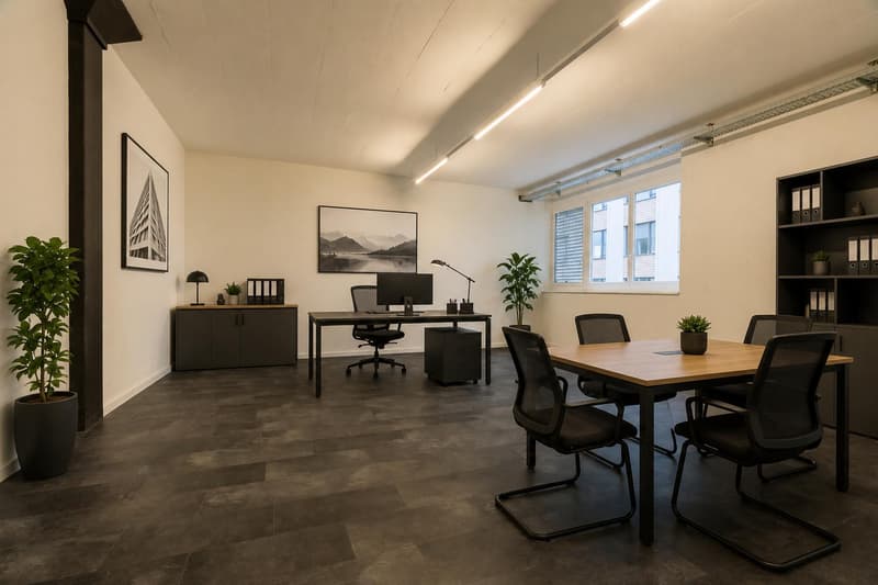 Commercial property in Sarnen (1)