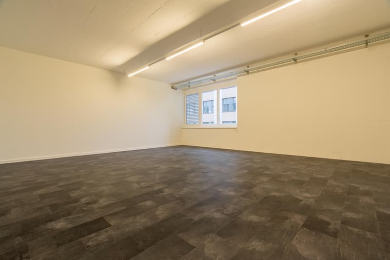 Commercial property in Sarnen (3)