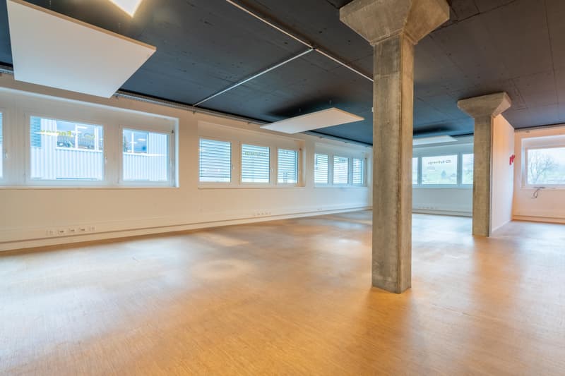 Commercial property in Sarnen (5)