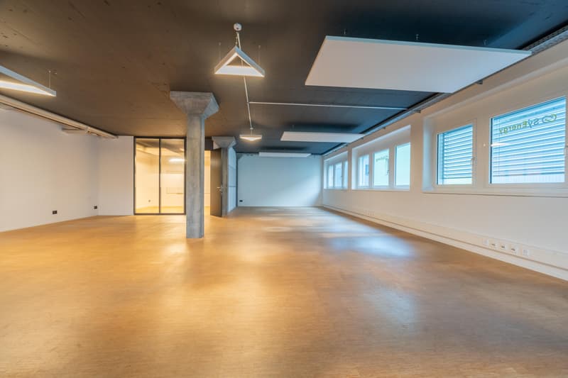Commercial property in Sarnen (6)