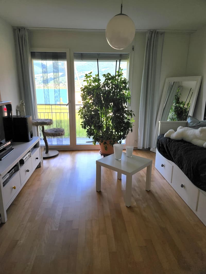Appartamento di 4.5 locali a Wilen (Sarnen) (5)