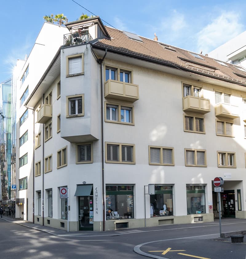 3.0 Zimmerwohnung in Luzern (1)