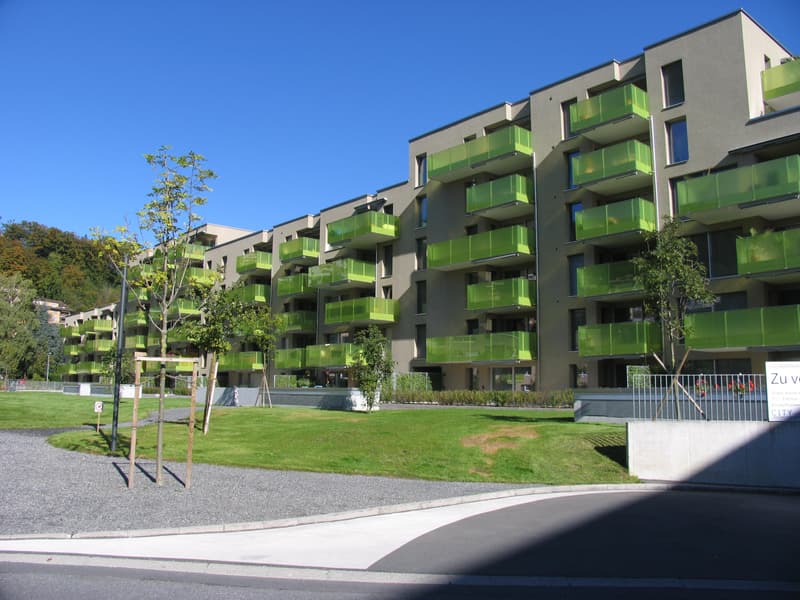 3.5 Zimmerwohnung in Kriens (2)