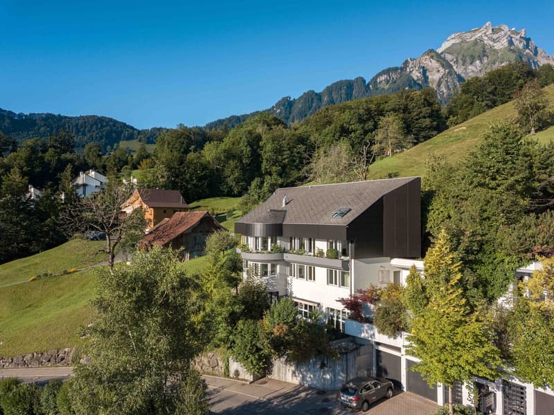 Exclusive Villa with Spectacular Lake and Mountain View (1)