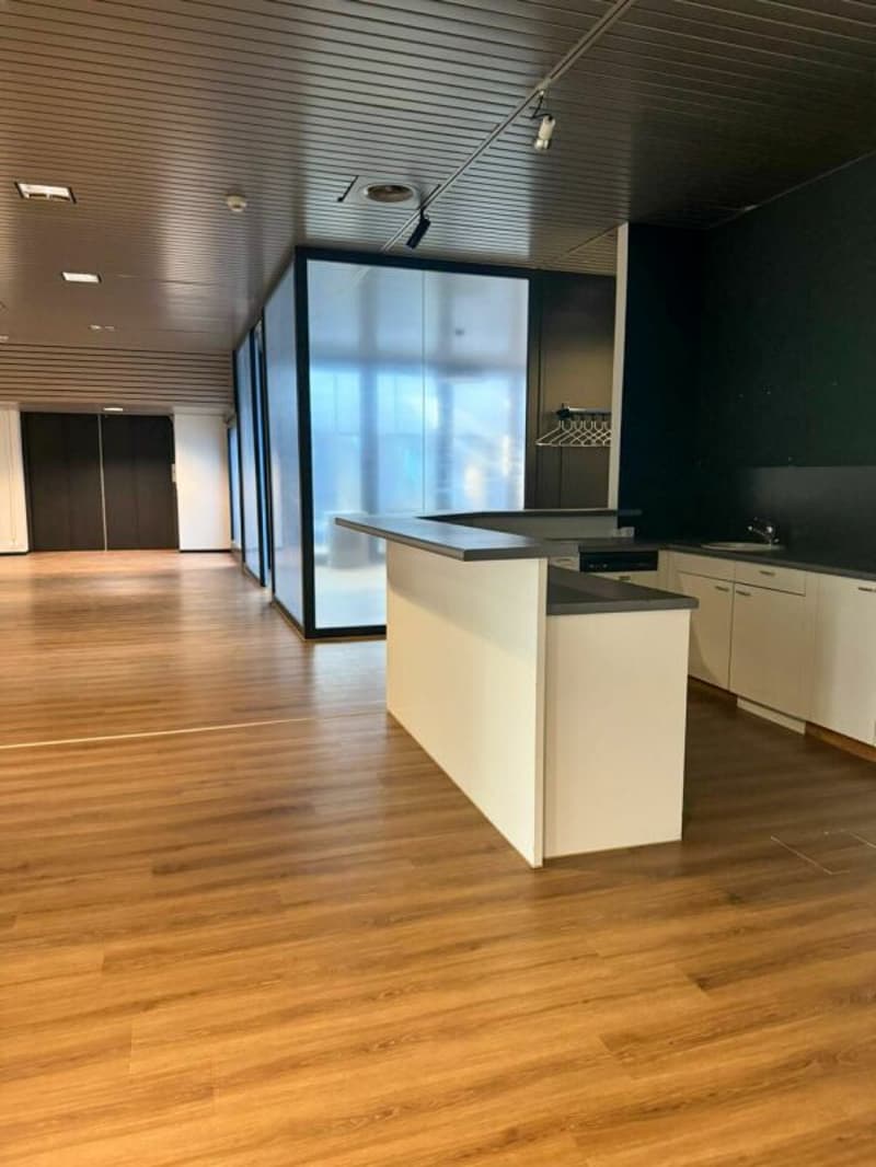 Grossraum-Office mit 912 m2 in Luzern (5)