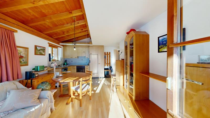 Appartement cozzy de 2,5 pièces avec vue (4)