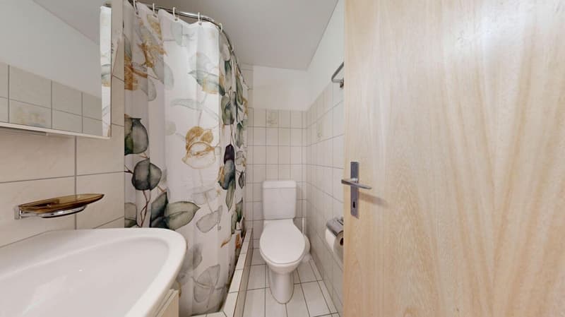 Appartement cozzy de 2,5 pièces avec vue (8)