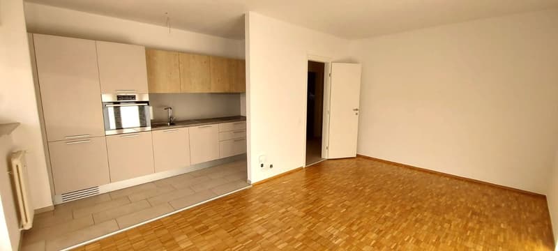 Appartamento di 5.5 locali in via Brentani 3 (2)
