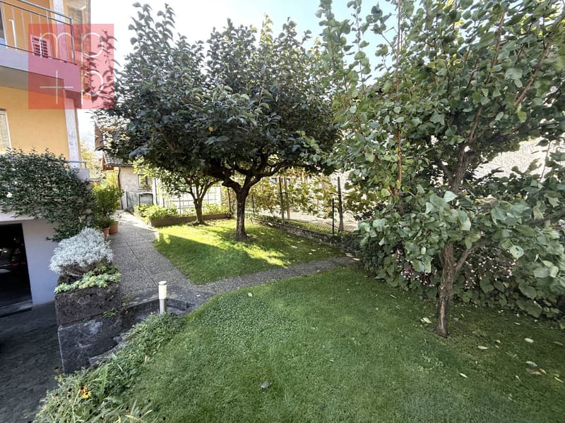 Maison unifamiliale - Giubiasco (2)