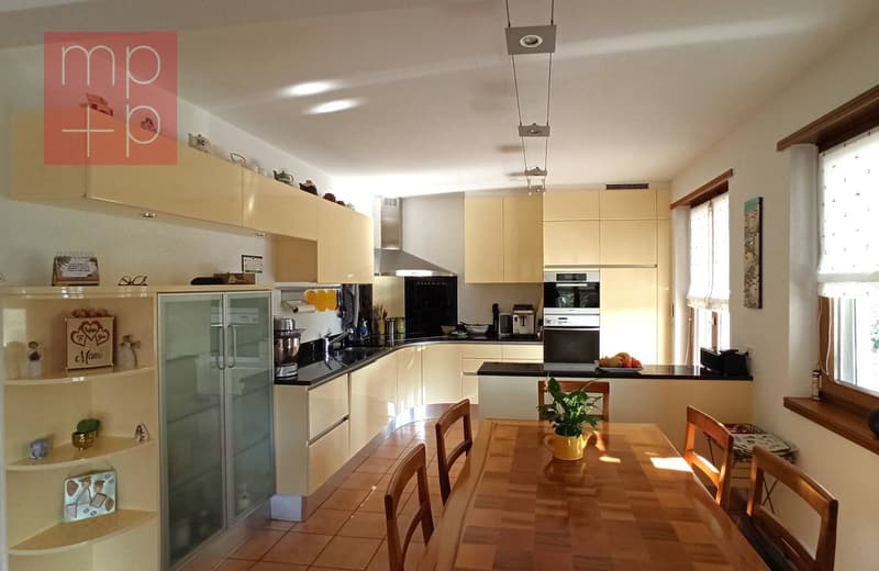 Maison unifamiliale - Pregassona (3)