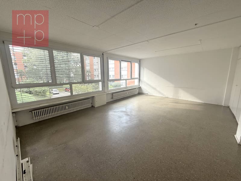 Appartamento - Lugano (2)