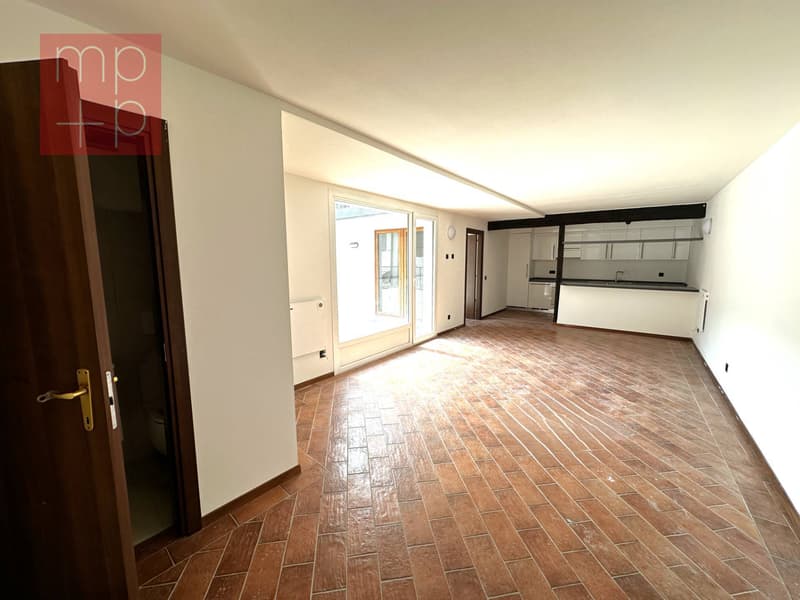 Appartement - Lugano (2)