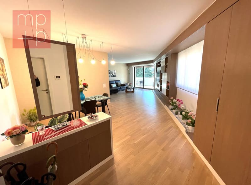 Apartment - Lugano (6)