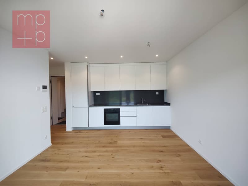 Apartment - Cademario (3)