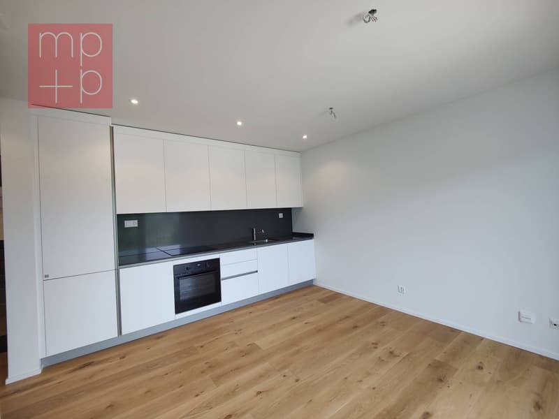 Apartment - Cademario (2)