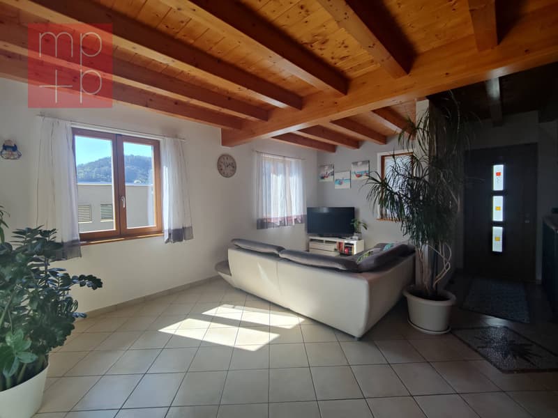 Casa unifamiliare - Mendrisio (3)