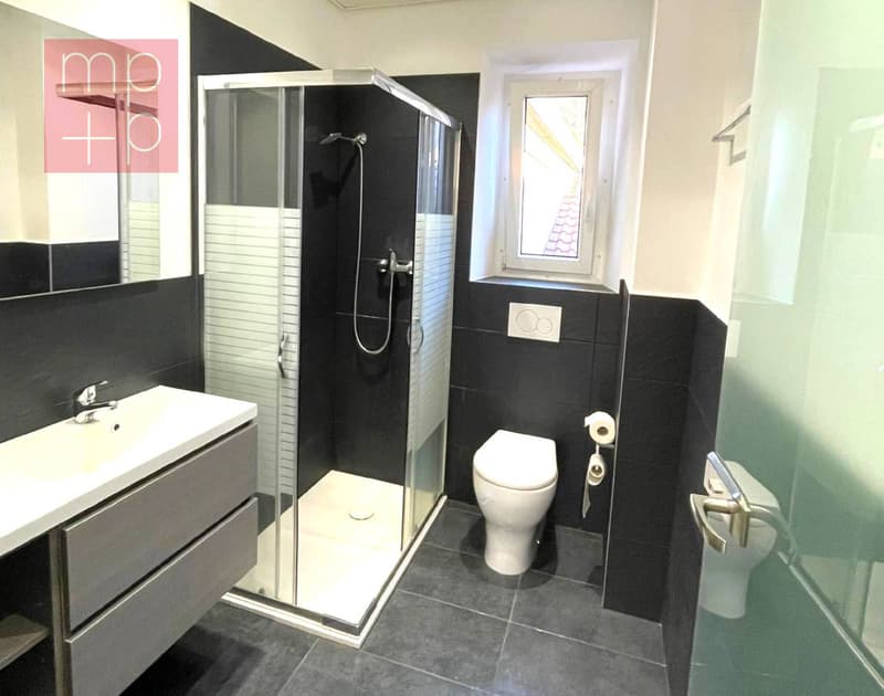 Multi-family house - Bellinzona (4)