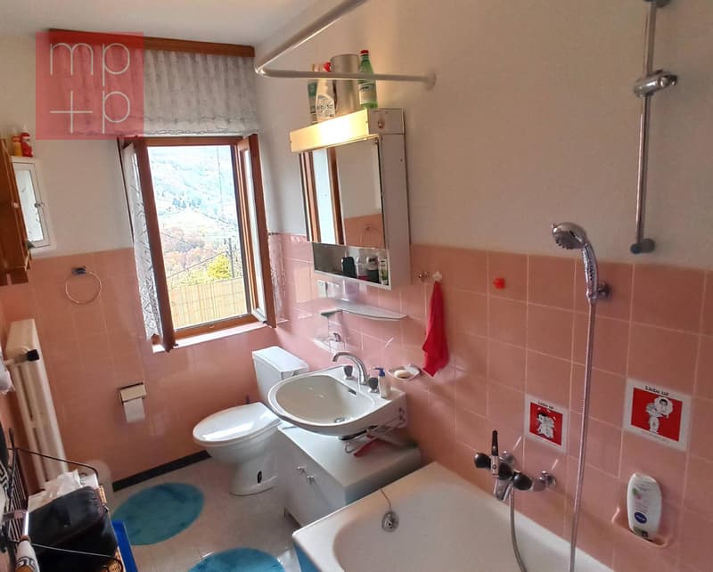 Wohnung - Lugano (8)