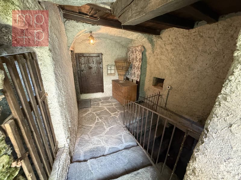 Rustico - Terre di Pedemonte (8)
